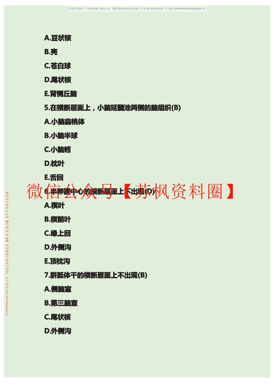 断层解剖学
